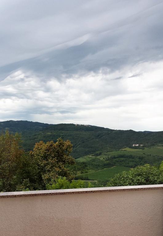 Villa House Of Veli Joze à Motovun Extérieur photo