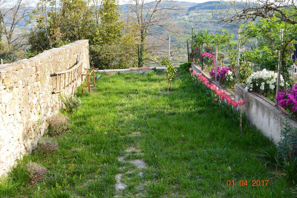 Villa House Of Veli Joze à Motovun Extérieur photo